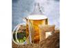 Set per la produzione di birra - Birra olandese 