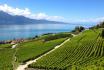 Dégustation de vin pour deux - Domaine Bovy (VD) avec visite, apéro et bouteille offerte 4