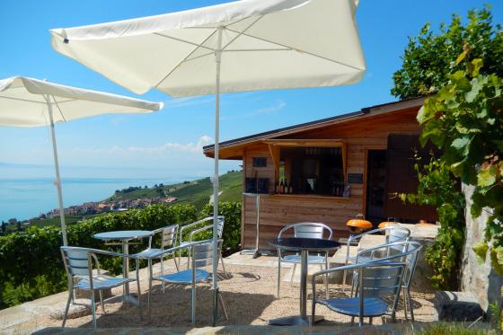 Dégustation de vin pour deux - Domaine Bovy (VD) avec visite, apéro et bouteille offerte   Dégustation de vin pour deux - Domaine Bovy (VD) avec visite, apéro et bouteille offerte