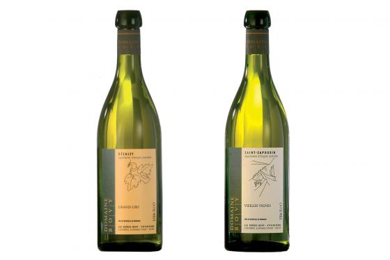 Dégustation de vin pour deux - Domaine Bovy (VD) avec visite, apéro et bouteille offerte 1  Dégustation de vin pour deux - Domaine Bovy (VD) avec visite, apéro et bouteille offerte 1