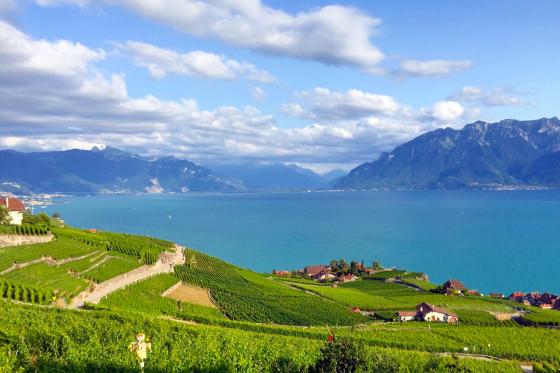 Dégustation de vin pour deux - Domaine Bovy (VD) avec visite, apéro et bouteille offerte 2  Dégustation de vin pour deux - Domaine Bovy (VD) avec visite, apéro et bouteille offerte 2