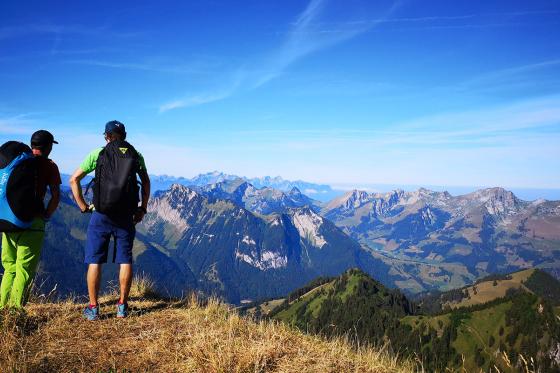 Stage découverte  - 1 jour de formation pour 1 personne 2 