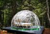 Séjour dans une bulle en forêt - Nuit dans une Bubble- Suite pour 2 personnes 