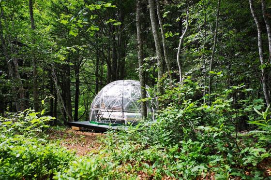 Séjour dans une bulle en forêt - Nuit dans une Bubble- Suite pour 2 personnes 1 