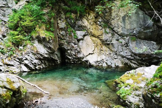 Séjour dans une bulle en forêt - Nuit dans une Bubble- Suite pour 2 personnes 2 