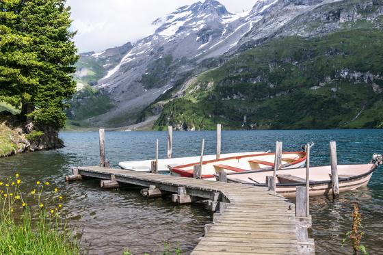 Séjour dans une bulle en forêt - Nuit dans une Bubble- Suite pour 2 personnes 4 