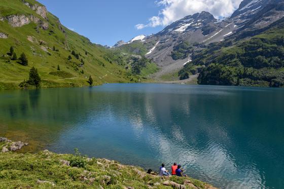 Séjour dans une bulle en forêt - Nuit dans une Bubble- Suite pour 2 personnes 5 