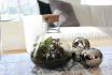 Mini Ökosystem - botanischer Garten für Zuhause 1