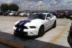 Ford Mustang Shelby GT500 mieten - für 1 Tag am Wochenende 