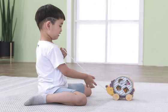 Hérisson à tirer en bois - 2 en 1 2 