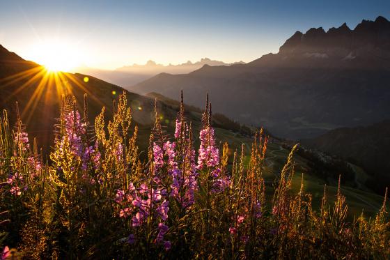 Escapade romantique - 1 nuit avec fondue, champagne et MultiPass pour 2 personnes 5 