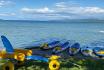 Sortie sur le lac de Neuchâtel - 2 heures de paddle, kayak ou mayak pour 2 5