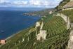 Road Trip en 2CV avec chauffeur - Découverte du Lavaux et dégustation d'une fondue  1