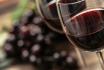 Visite du vignoble et dégustation - Randonnée dans les vignobles, dégustation de vins et visite de cave 3