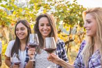 Visite du vignoble et dégustation - Randonnée dans les vignobles, dégustation de vins et visite de cave
