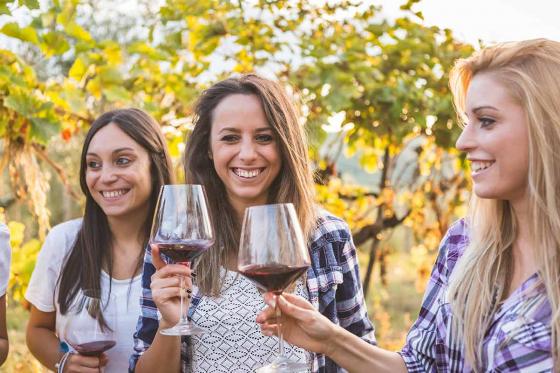 Visite du vignoble et dégustation - Randonnée dans les vignobles, dégustation de vins et visite de cave   Visite du vignoble et dégustation - Randonnée dans les vignobles, dégustation de vins et visite de cave