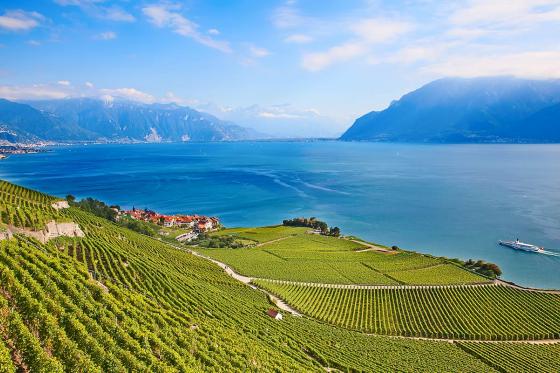 Vol en hélicoptère et apéritif - au-dessus du Lavaux  patrimoine mondial de l'UNESCO | 1 personne 2 