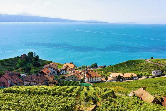 Vol en hélicoptère et apéritif - au-dessus du Lavaux  patrimoine mondial de l'UNESCO | 1 personne 3 