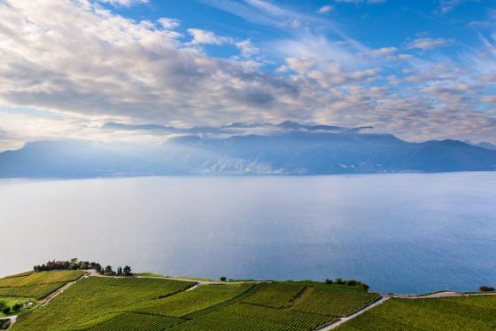 Vol en hélicoptère et apéritif - au-dessus du Lavaux  patrimoine mondial de l'UNESCO | 1 personne 5 