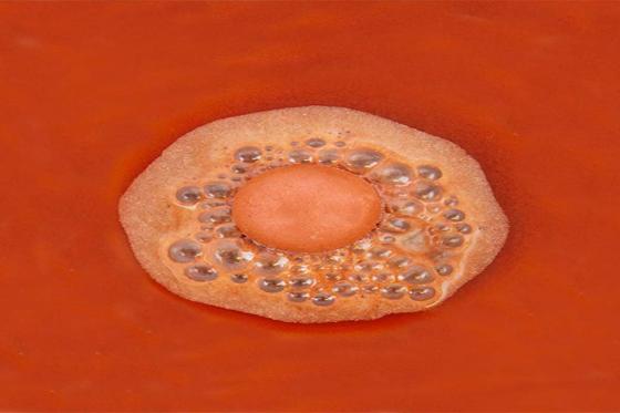 Bier Badebomben - Für Bierfreunde 2 