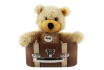 Steiff Teddy  - im Reisekoffer - personalisierbar 