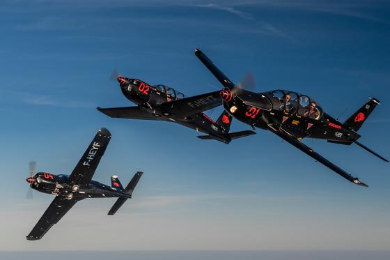 Vol acrobatique en patrouille - Dans un TB30 Epsilon pour 1 personne 1 