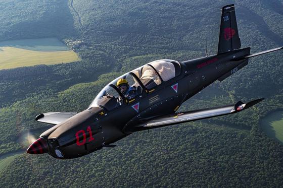 Vol acrobatique en patrouille - Dans un TB30 Epsilon pour 1 personne 10 