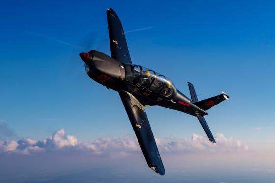 Vol acrobatique en patrouille - Dans un TB30 Epsilon pour 1 personne 11 