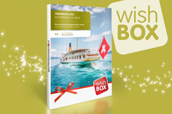 Excursion d'un jour - Wishbox - 1 coffret - plus de 25 expériences  