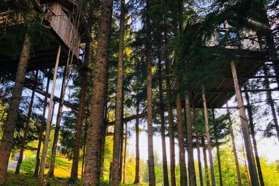 Nuitée dans une cabane  - avec petit déjeuner inclus pour 2 personnes 1 