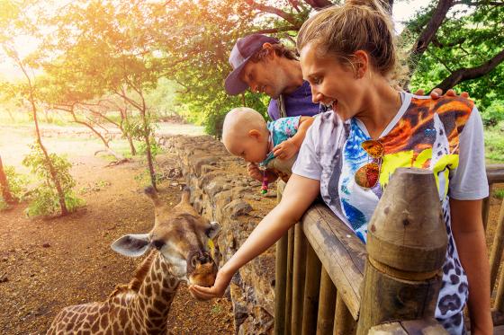 Wishbox & HotelCard - Voyages en Suisse- choix d'expérience puis nuit dans un hôtel 5 