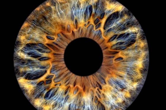 Photo d'iris - 30x30cm, impression sur verre, pour une personne  