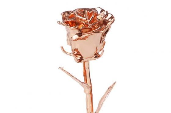 Goldrose - 28cm - roségold, in edler Lederbox 4 