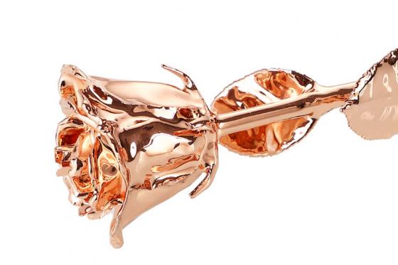 Goldrose - 28cm - roségold, in edler Lederbox 5 