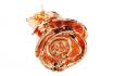 Rose en or 24 carats 28 cm - Rosegold - etui personnalisable 4