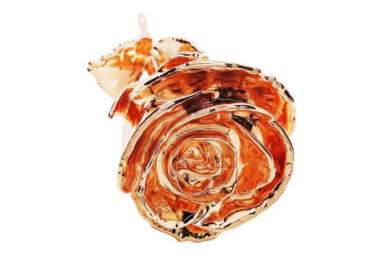 Rose in roségold - 28 cm - mit Gravur 4 