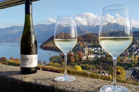 Journée au château de Spiez - Tour en bateau en 2ème classe, apéro & entrée au musée | 1 pers. 4 