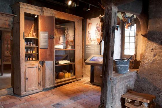 Journée au château de Spiez - Tour en bateau en 2ème classe, apéro & entrée au musée | 1 pers. 7 