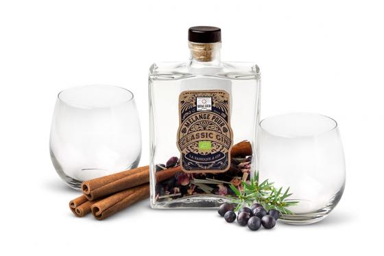 Gin Geschenkset - Inkl. Ginkaraffe + Gläser  