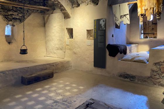 Schloss Spiez Erlebnistag - Schifffahrt 2. Klasse, Apero und Museumseintritt | 2 Personen 11  Schloss Spiez Erlebnistag - Schifffahrt 2. Klasse, Apero und Museumseintritt | 2 Personen 11