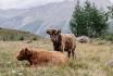 Détente de luxe à Saas-Fee - 2 nuits avec accès au spa et petits déjeuners pour 2 personnes 10