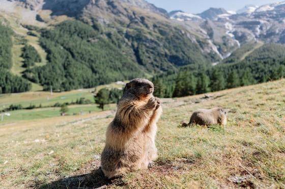 Luxus-Entspannung in Saas-Fee - 2 Nächte inkl. Wellness-Zugang und Frühstück für 2 Personen 9 