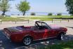 Ford Mustang Convertible mieten - inkl. Chauffeur 2