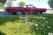 Ford Mustang Convertible mieten - inkl. Chauffeur 3