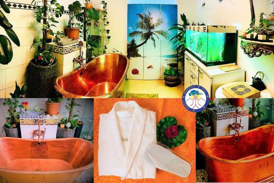 Soin tibétain complet - Moment de détente avec massage au choix et un bain aux herbes 6 