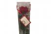 Rose éternelle premium - Reste 2 ans fraîche | tige à 50-55 cm 3