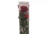 Rose éternelle premium - Reste 2 ans fraîche | tige à 50-55 cm 4