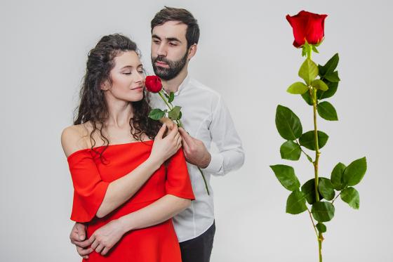 Premium Rose ewig blühend - extra gross | bleibt 2 Jahre frisch | 50cm Stil 1 