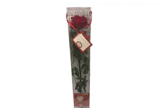 Premium Rose ewig blühend - extra gross | bleibt 2 Jahre frisch | 50cm Stil 3 