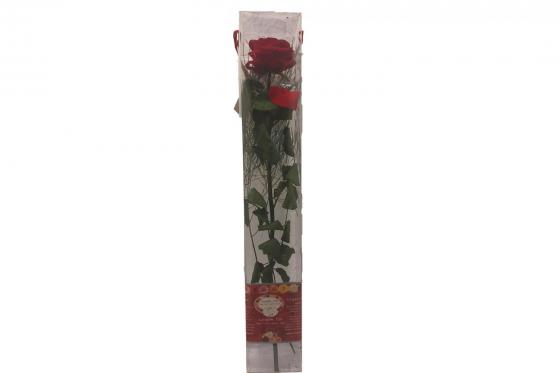 Premium Rose ewig blühend - extra gross | bleibt 2 Jahre frisch | 50cm Stil 4 